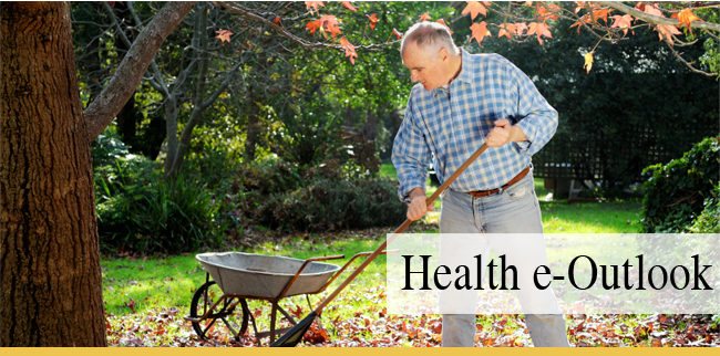 Health e-Outlook